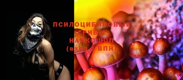 мяу мяу мука Алзамай