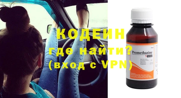 хмурый Алексин