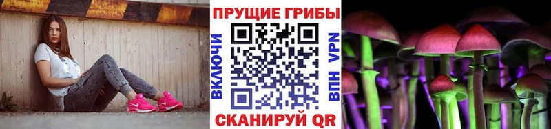гидра как зайти  купить закладку  Биробиджан  Псилоцибиновые грибы Psilocybine cubensis 